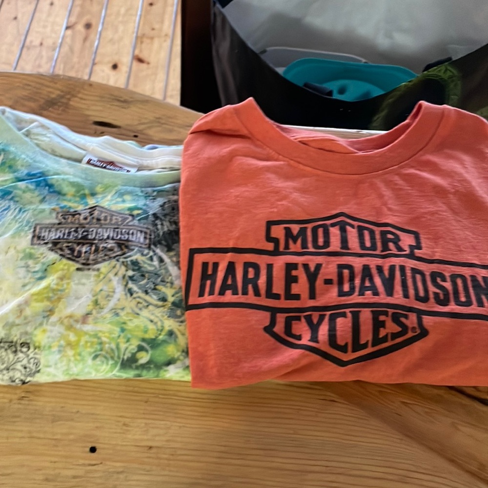 Harley Davidson Tee Shirt Bundle